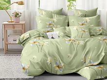 кпб cleo "art color" евро 31/170-ac